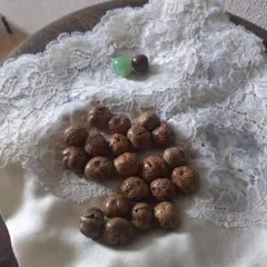 ルドラクシャ（菩提樹原実）　　　　　　石ブレス　三つ目菩提樹ビーズ