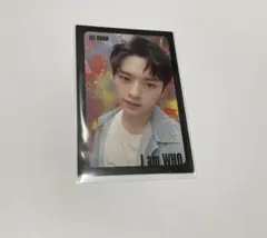 2026年最新】stray kids リノ トレカの人気アイテム - メルカリ