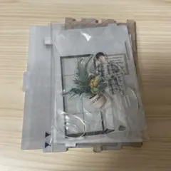 NCT127 ドヨン アクスタセット