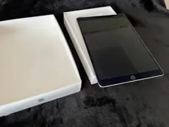iPad Pro 10.5インチ 256GB Wi-Fi Cellular