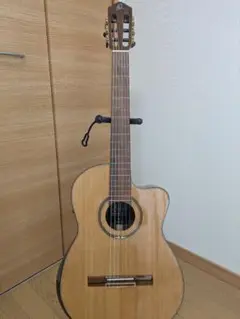 Item thumbnail for item 46c56f52-cd51-4bde-8101-10da30724d40