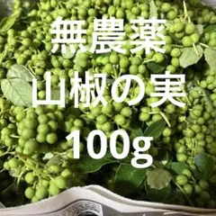 2026年最新】花山椒 100gの人気アイテム - メルカリ