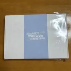 SEVETEEN ウォヌ バパケ 2025 BIRTHDAY BOX 抜けなし SEVENTEEN - SEVETEEN ウォヌ バパケ 2025 BIRTHDAY BOX 抜け