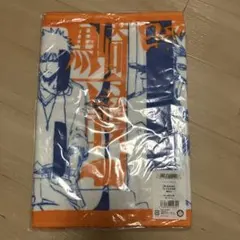 エヴァンゲリオン 碇シンジ 渚カヲル タオル キーホルダー HOTEL EVA 