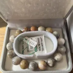 Item thumbnail for item 38c3c323-4f52-498a-ad4b-1ac54662c583