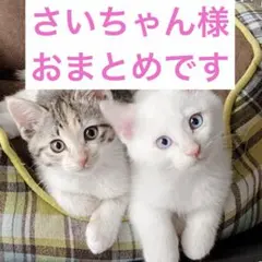 さいちゃん様 リクエスト 3点 まとめ商品