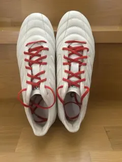 Item thumbnail for item c8b85507-d5ec-40e2-95a4-34a002bd3105