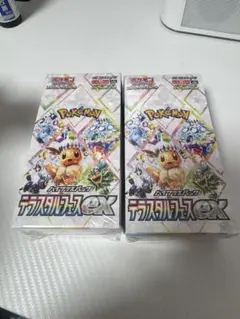 【新品未開封】ポケモンカード テラスタルフェスex 2BOX