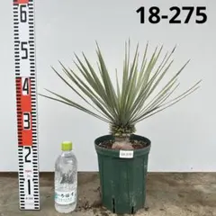 結衣様 リクエスト 2点 まとめ商品