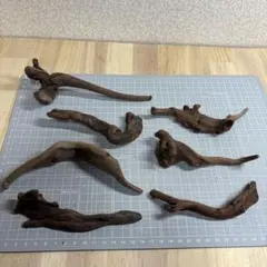 水槽用流木 7本セット M213