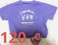 メゾピアノ しなこちゃん 120