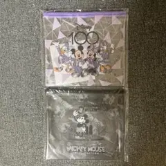ディズニー　100周年 1番くじ　E賞　フラットポーチ