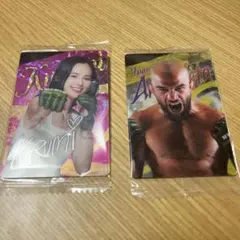 Item thumbnail for item 0af9a5a4-3322-42e6-8e42-f729dbbf32cb