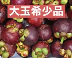 超希少大玉秀品　激甘生鮮フレッシュ　タイ産直送マンゴスチン　お得セット②点のみのサムネイル