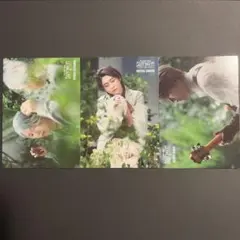 2025年最新】mrs. green apple フォトカードの人気アイテム