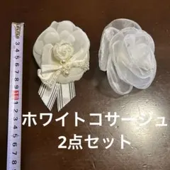 Item thumbnail for item 7a547925-f45f-4b77-87ab-887b59df8410