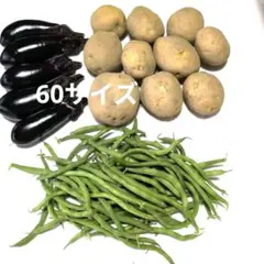 野菜詰め合わせ　農薬不使用　家庭菜園のサムネイル