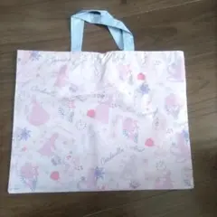 新品☆ディズニープリンセス レッスンバッグ