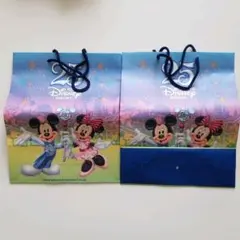 東京ディズニーリゾート　未使用紙袋　2枚