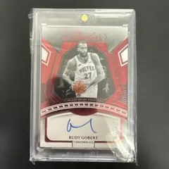Rudy Gobert FLAWLESS SHADE SIGNATURES