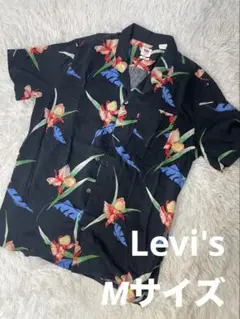 Item thumbnail for item ae3bd9ca-59c3-4d7c-ade6-e657a12b581b