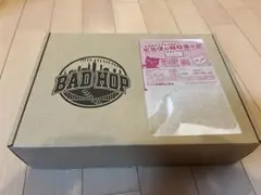 激レア 廃盤BAD HOP 1stアルバム 初期 希少badhop バッドホップ - メルカリ