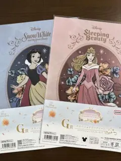 ディズニープリンセス　1番くじ　G賞クリアファイル