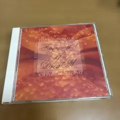 ダニエル・コビアルカ 『ジムノペディの夢 50808