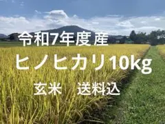 令和7年度　ヒノヒカリ10kg(玄米)送料込のサムネイル