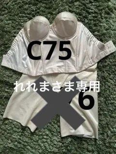 【美品(使用1回のみ)】フォーシス♡ D70 70 Vカット　ビスチェ セット 2025年最新】フォーシスアンドカンパニー vカットビスチェの人気