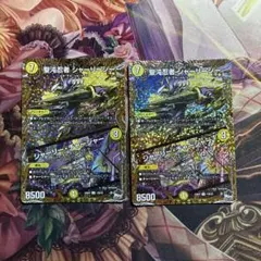 シャーリーシー b