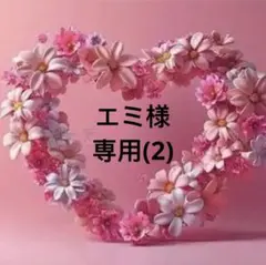 エミ様 専用(2)