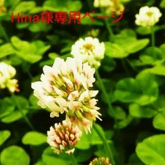 Hina様専用ページ