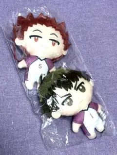 ハイキュー カプっ子フレンズ 牛若 天童