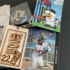 千葉ロッテマリーンズ ポランコ 木札キーホルダー 缶バッジ マー君ステッカー