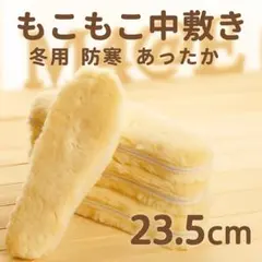 Item thumbnail for item d09c93ed-264b-48e3-93f5-139f767bd39d