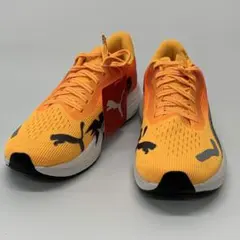 Item thumbnail for item 9c3ca148-1318-4fb2-b264-9ded5f029a9c