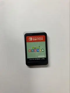 Nintendo Switch ソフト LA-H-ACBAA-JPN