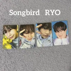 songbird 　RYO　トレカ　リョウ　セット　nct wish