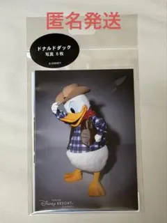 ディズニー 写真セット 実写 ドナルド