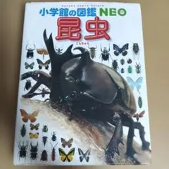 生物