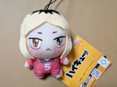 ハイキュー ちょぴぬいぷち 孤爪研磨