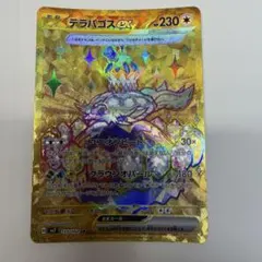 テラパゴスEX ur エースバーンEX ur