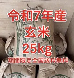 送料無料】令和7年産 徳島県産アキサカリ 玄米20kg - メルカリ