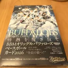 ORIX Buffaloes SONGS CD 2枚セット　オリックス　野球 ORIX Buffaloes SONGS CD 2枚セット オリックス 野球 - メルカリ