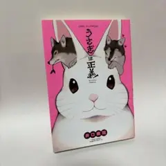 うさぎは正義 コミック 漫画 マンガ 井口病院