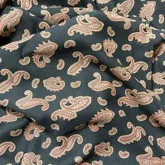 Item thumbnail for item 5dac4491-8100-4799-bf99-ce8a41a7b904