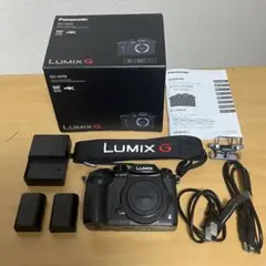 Panasonic LUMIX DC-GH5 ボディ ミラーレス一眼のサムネイル