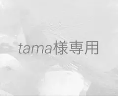 tama様 リクエスト 2点 まとめ商品