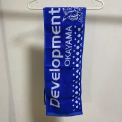 2025年最新】岡山シーガルズの人気アイテム - メルカリ